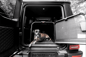 1one1 Origami foldable dog crate