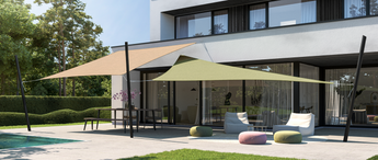 Ingenua Black pole