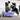 Blue-9 KLIMB Dog Training Platform