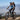 K9 Sport Sack Knavigate Jet Black on mountainbike