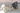 The Comfy Cone soft recovery cone for dogs
