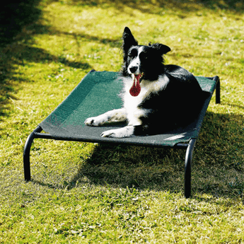 Coolaroo Pet Bed