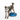 FitPAWS Balance Disc