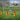 FitPAWS Hurdle Set