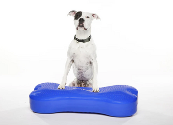FitPAWS K9FITbone GIANT dog balance trainer 90x40x14 cm – stability and coordination tool for dogs - sky blue