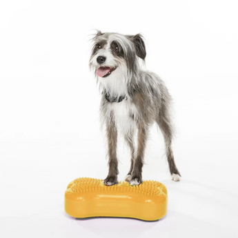FitPAWS K9FITbone MINI stability training