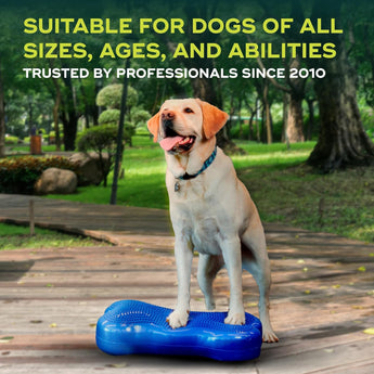 Hond op FitPaws K9FitBone blauw - dog on FitPaws K9FitBone Blue