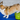 FitPAWS K9FITbone balance trainer 58x29x10 cm – canine fitness and rehab tool for dogs of all sizes.