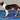 FitPAWS Giant Rocker Board