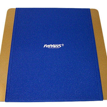 FitPAWS Giant Rocker Board