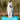 FitPAWS K9FITbone GIANT dog balance trainer 90x40x14 cm – stability and coordination tool for dogs