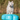 FitPAWS K9FITbone GIANT dog balance trainer 90x40x14 cm – stability and coordination tool for dogs - Turquoise
