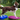 FitPAWS K9FITbone balance trainer 58x29x10 cm – canine fitness and rehab tool for dogs of all sizes.