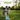 Fitpaws Fitkinect