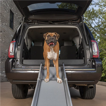 Telescopic Dog Ramp PetSafe Happy Ride PTV17-16878