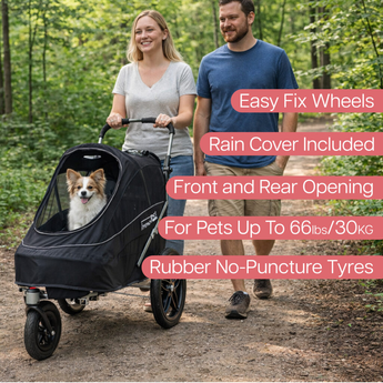 InnoPet Sporty EVR IPS059/EVR features SalesDepot