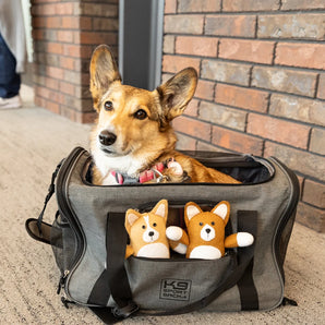 K9 Sport Sack Karry On Dog and toys