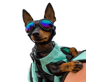 K9 Sport Shades