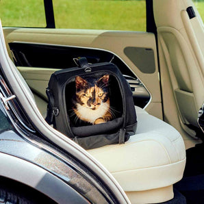TAVO Dupree met ISOFIX vastgeklikt in de auto