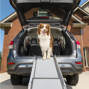 Telescopic Dog Ramp
