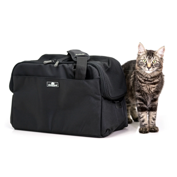 Airline Pet Carrier Sleepypod Atom Jet Black
