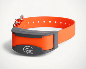 SportDOG Add-A-Dog SDR-AXF-E