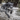 SportDOG