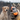 SportDOG® SportTrainer®