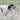 SportDOG®