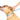 The Comfy Cone soft recovery cone for dogs