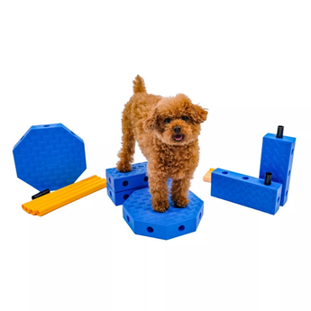 Fitpaws Fitkinect