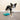 FitPAWS Ramp