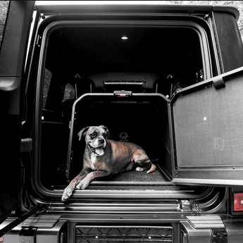 Dog Car Crate