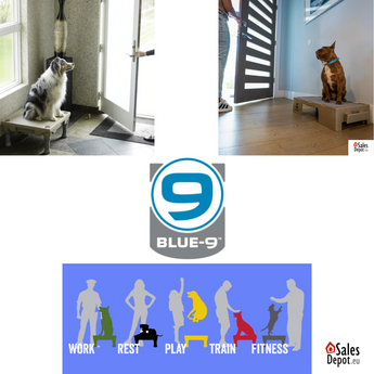 BLUE-9 KLIMB plateforme d’entraînement pour chien