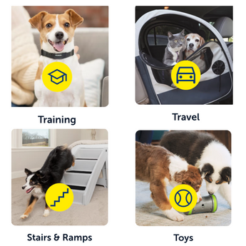 PetSafe