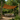 Voile d'ombrage rectangulaire fibre de coco 3 x 4 m – BazarBizar