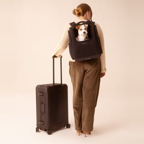 TAVO Kamella Pet Backpack & car seat