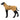 Rukka Pets Ripple Regenmantel Hund Honey