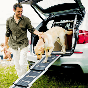 4pets Telescopic Dog Ramp