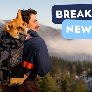 The NEW K9 Sport Sack KOMPANION has arrived - August 2026