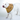 The Comfy Cone soft recovery cone for dogs