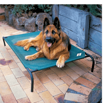 Coolaroo Pet Bed Large