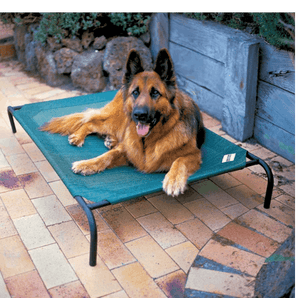 Coolaroo Pet Bed Large