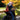 K9 Sport Sack Knavigate Dune Red on motor bike