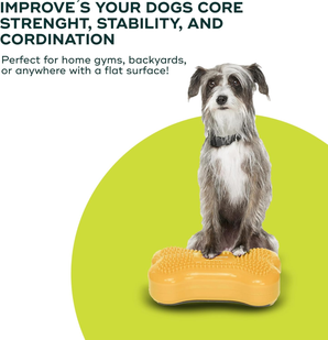 FITPaws K9FITBone MINI improve dog core strenght, stability and coordination