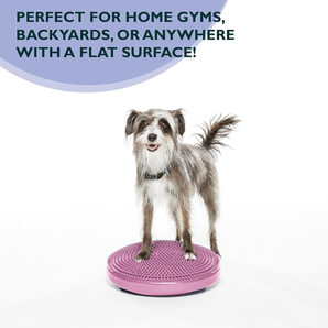 FitPAWS Balance Disc features dog