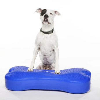 FitPAWS K9FITbone GIANT dog balance trainer 90x40x14 cm – stability and coordination tool for dogs - sky blue