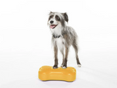 FitPAWS K9FITbone MINI stability training