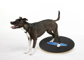 FitPAWS Wobble Board Ø50 cm & Ø91.5 cm