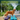 FitPAWS K9FITbone & K9Fitbone GIANT dog balance trainer stability and coordination tool for dogs